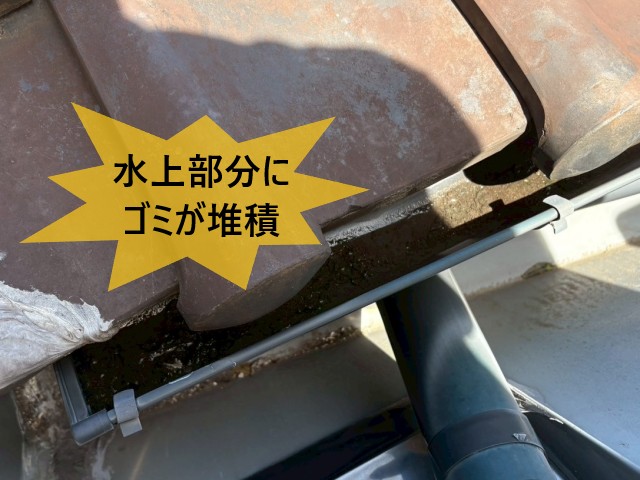 軒樋　水上部分にゴミ